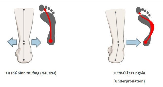 ban-chan-lech-trong-pronation-2