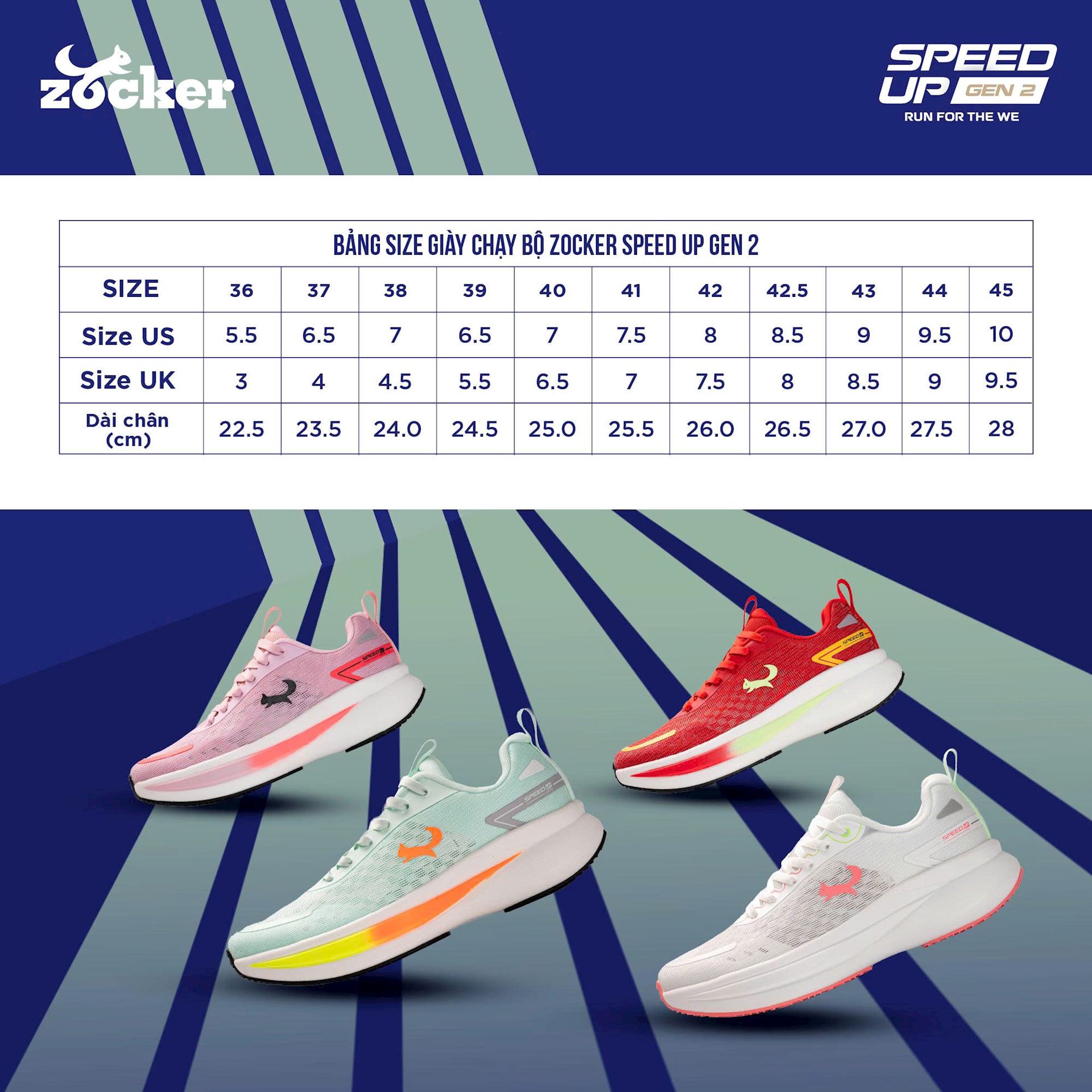 bang-size-speed-up-gen2-2