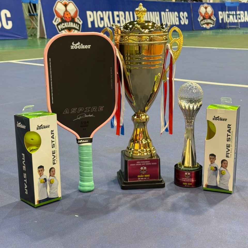 nang-trinh-do-4_5-len-5-pickleball-2