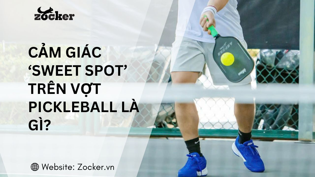 Cảm giác ‘sweet spot’ trên vợt Pickleball là gì? Cách chọn vợt dễ, đánh chuẩn