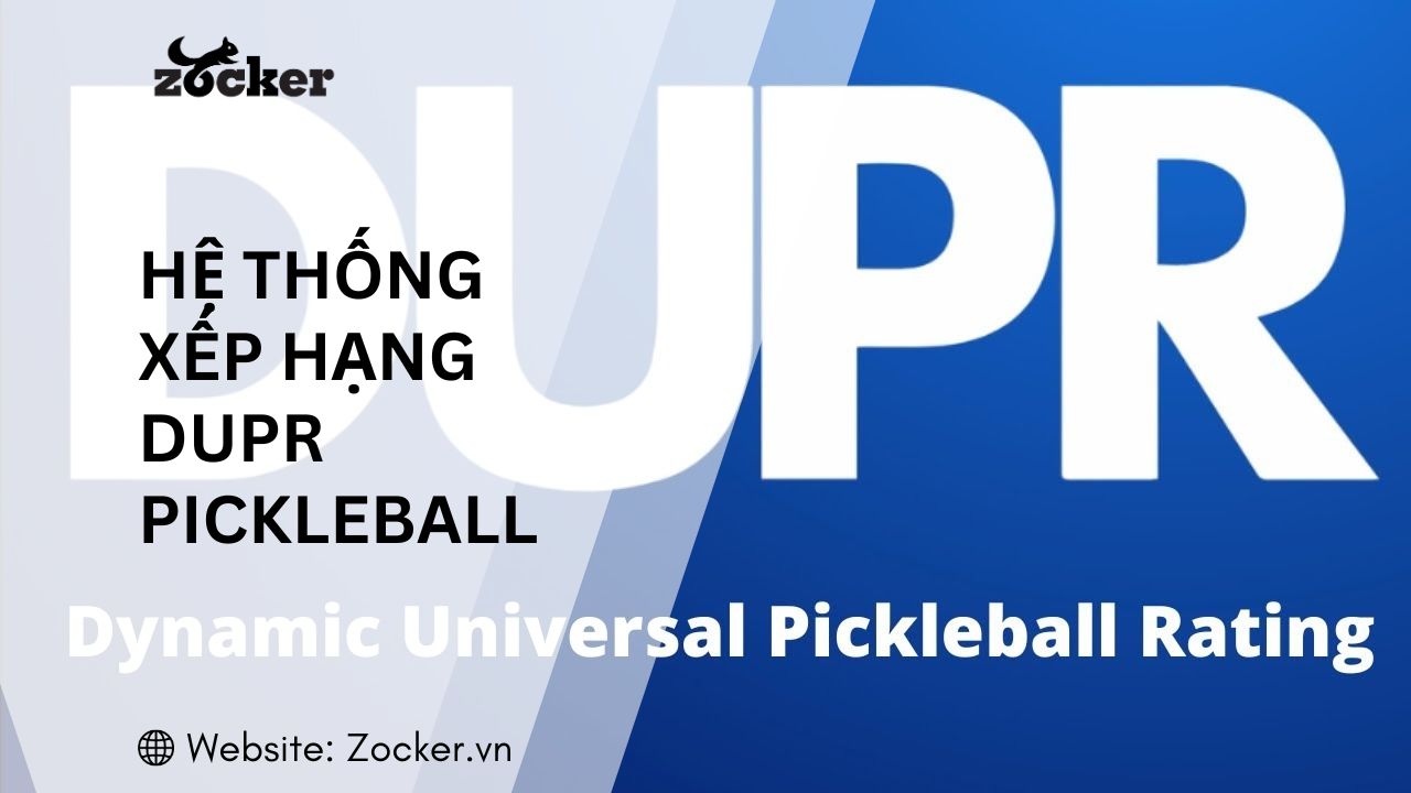 Hiểu về hệ thống xếp hạng dupr trong pickleball