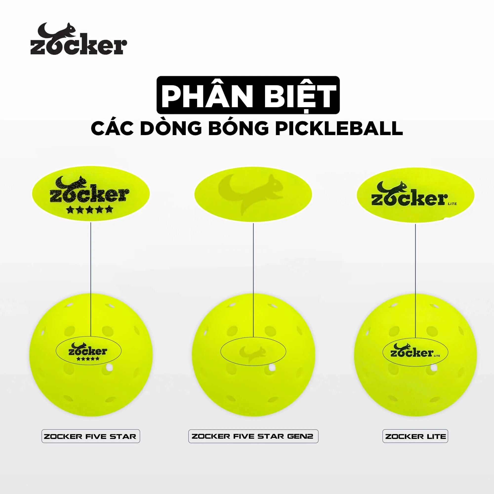 phan-biet-bong-pickleball-Zocker